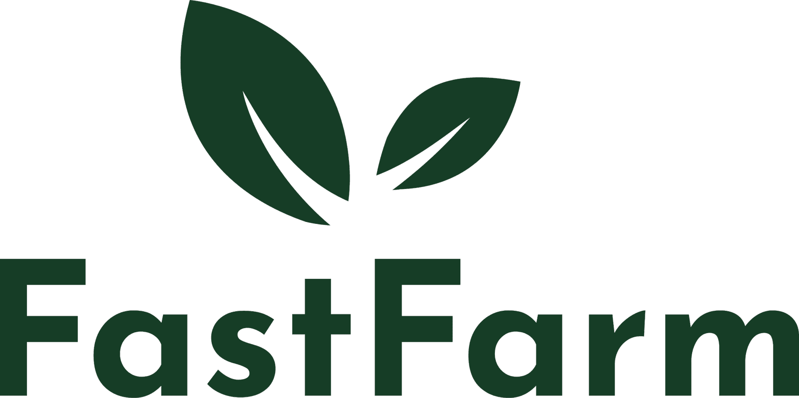 logo fastfarm